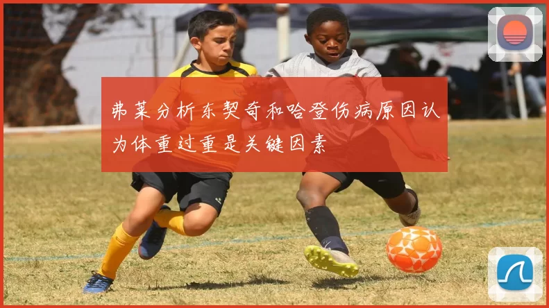 弗莱分析东契奇和哈登伤病原因认为体重过重是关键因素